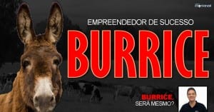 Empreendedor de Sucesso: burrice, será mesmo?