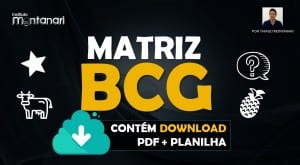 Matriz BCG