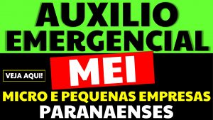 Read more about the article Auxílio emergencial para MEI e Empresas Paranaenses