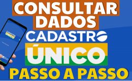 COMO CONSULTAR DADOS DO CADASTRO ÚNICO PELA INTERNET PASSO A PASSO DADOS CADÚNICO APLICATIVO