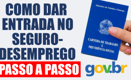 COMO DAR ENTRADA NO SEGURO-DESEMPREGO PASSO A PASSO