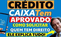 CRÉDITO CAIXA TEM APROVADO PRESIDENTE DA CAIXA MOSTRA COMO CONTRATAR MICROCRÉDITO NEGATIVADOS
