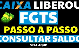 PASSO A PASSO COMO CONSULTAR SALDO FGTS SAQUE EXTRAORDINARIO 2022
