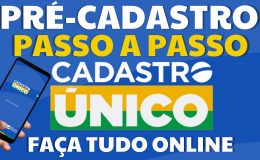 PRÉ-CADASTRO APLICATIVO CADASTRO ÚNICO PASSO A PASSO PRÉ CADASTRO APP CADÚNICO