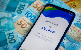 INSS